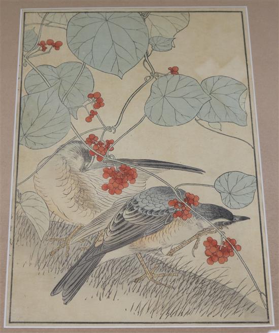 Japanese School Studies of birds amongst foliage 13 x 9in.